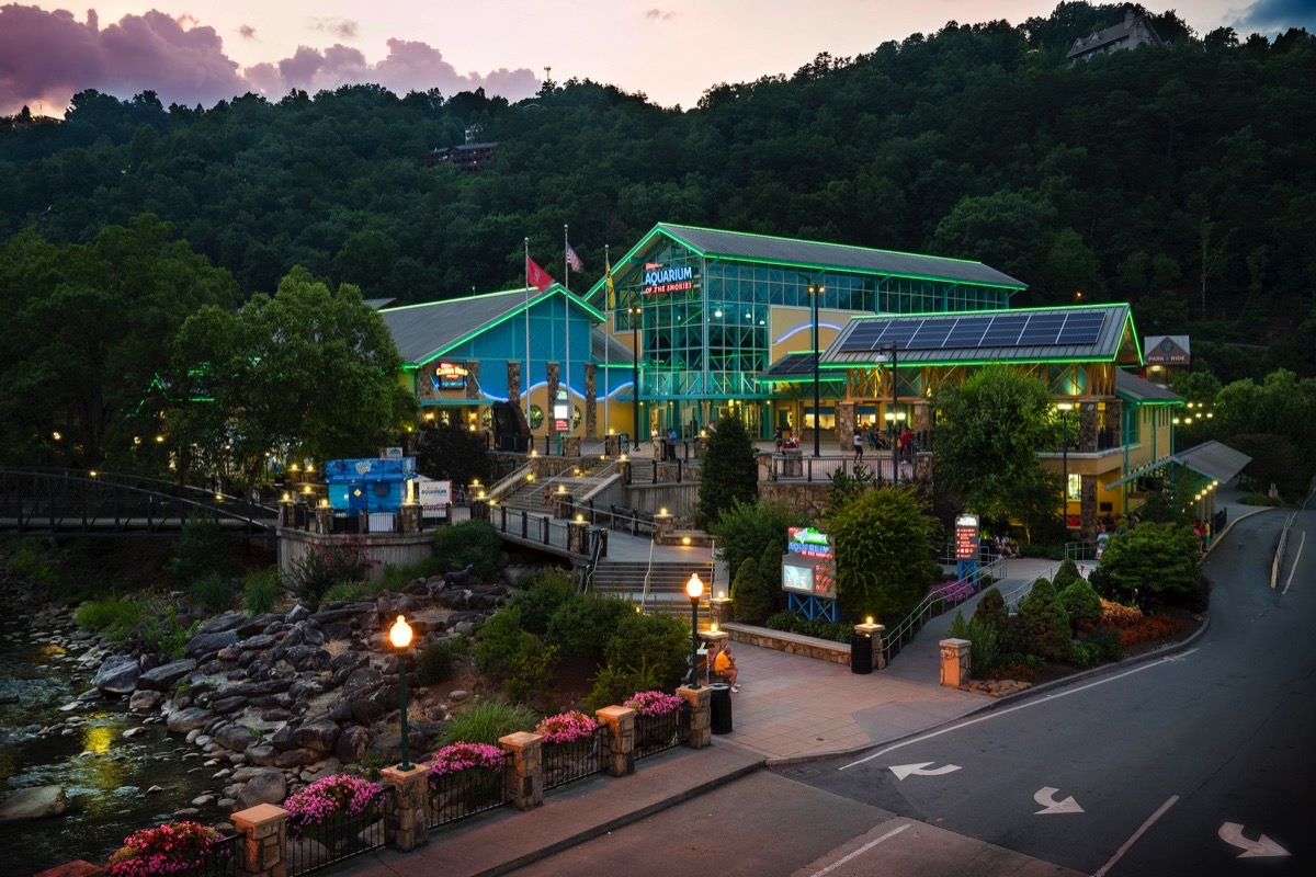 Ripley's Aquarium of the Smokies: Your Ultimate Guide